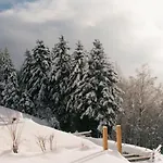 Ferme Vosgienne Renovee Avec Confort Et Nature Pour 7 Pers, Wifi, Animaux Bienvenus - Fr-1-589-190 Prázdninový dům Vagney