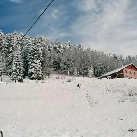 Ferme Vosgienne Renovee Avec Confort Et Nature Pour 7 Pers, Wifi, Animaux Bienvenus - Fr-1-589-190 펜션 *