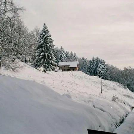 Nyaraló Ferme Vosgienne Renovee Avec Confort Et Nature Pour 7 Pers, Wifi, Animaux Bienvenus - Fr-1-589-190