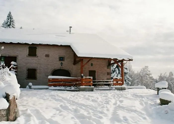 Ferme Vosgienne Renovee Avec Confort Et Nature Pour 7 Pers, Wifi, Animaux Bienvenus - Fr-1-589-190 Vagney