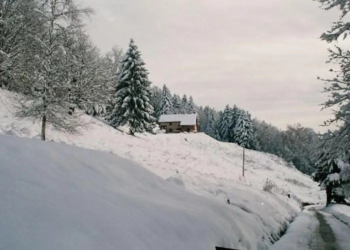 Prázdninový dům Ferme Vosgienne Renovee Avec Confort Et Nature Pour 7 Pers, Wifi, Animaux Bienvenus - Fr-1-589-190