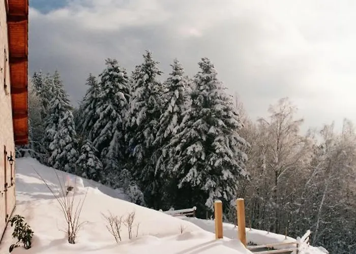 Ferme Vosgienne Renovee Avec Confort Et Nature Pour 7 Pers, Wifi, Animaux Bienvenus - Fr-1-589-190 Prázdninový dům Vagney